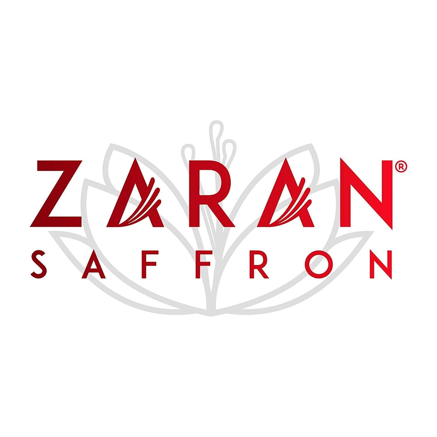 , Superior Saffron Threads (Super Negin) Premium Grade Saffron Spice for Paella, Risotto, Tea'S, and All Culinary Uses (3 Grams)